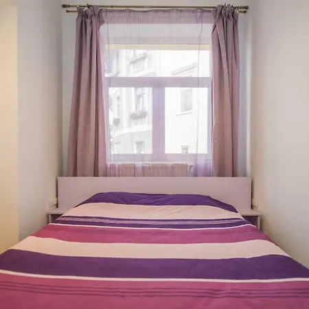 Cozy In Historic City Center Apartment Brasov